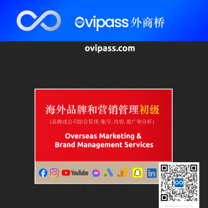 Overseas Marketing and Brand Management Services Cover - 海外品牌和营销管理-初级-01